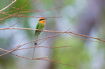 lukula selous tanzania